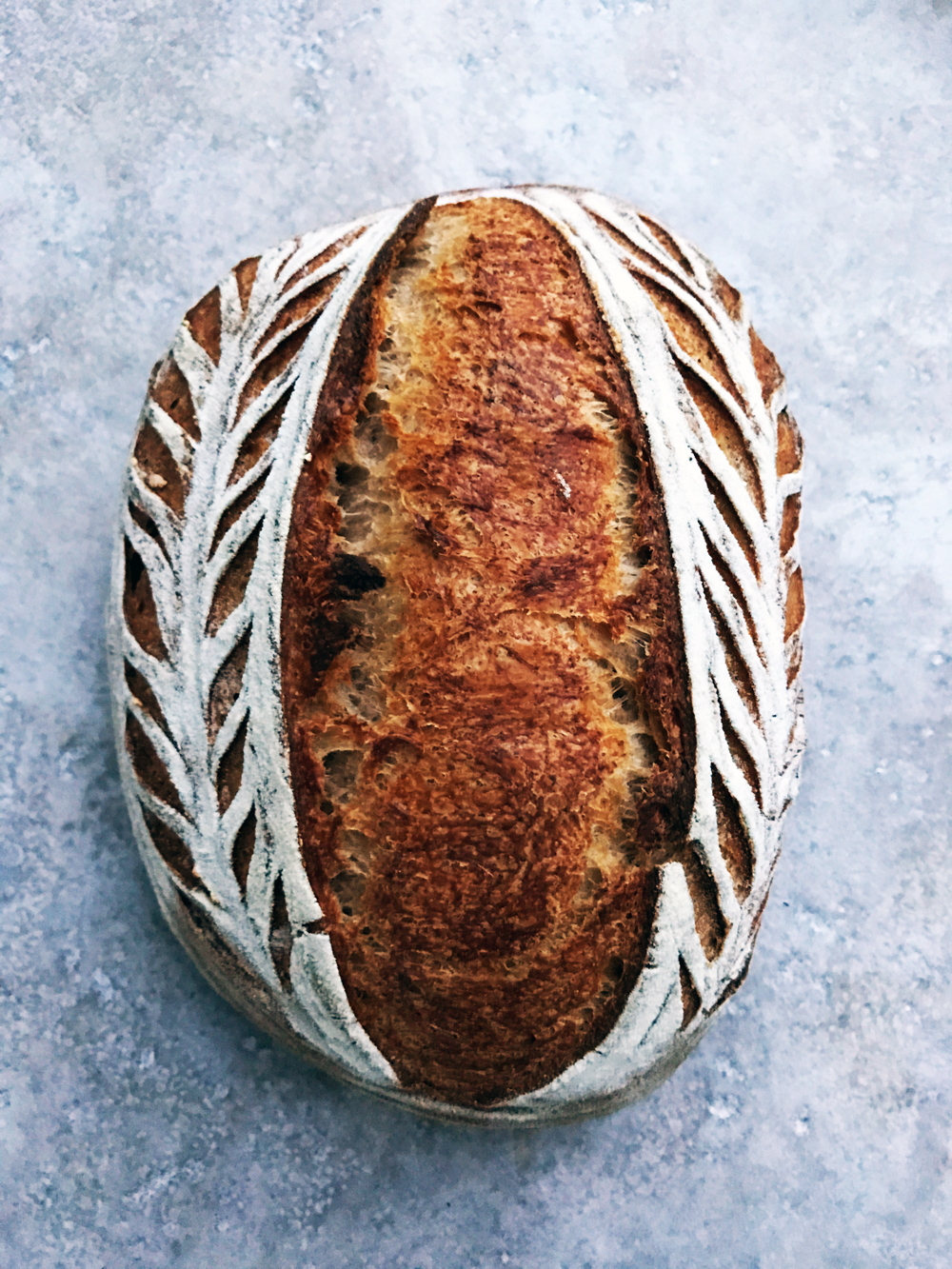 Weekly Sourdough Baking Rhythm— Bake Once, Fresh Bread for a Week - This  Pilgrim Life